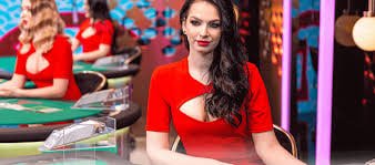 199 win bet 199 win bet