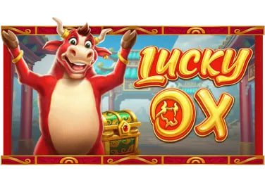199 win bet 199 win bet